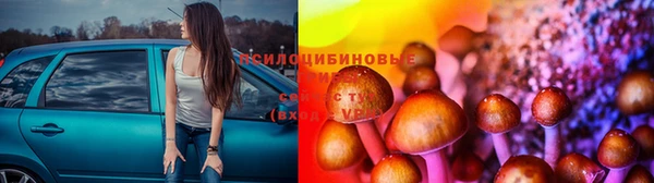 МДПВ Михайловка