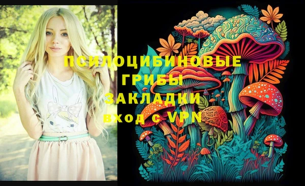 МДПВ Михайловка