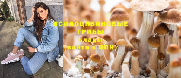 МДПВ Михайловка