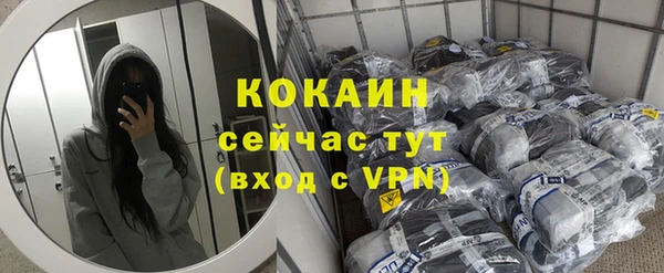 твердый Михайловск