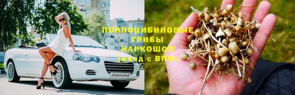МДПВ Михайловка
