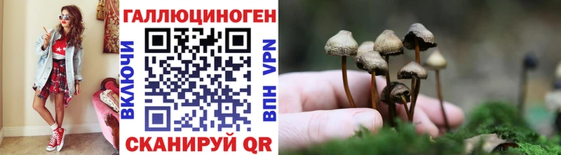 мориарти наркотические препараты Моздок Галлюциногенные грибы Psilocybe