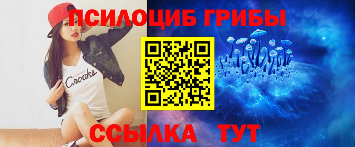 Моздок  Псилоцибиновые грибы Magic Shrooms  Вход с VPN 