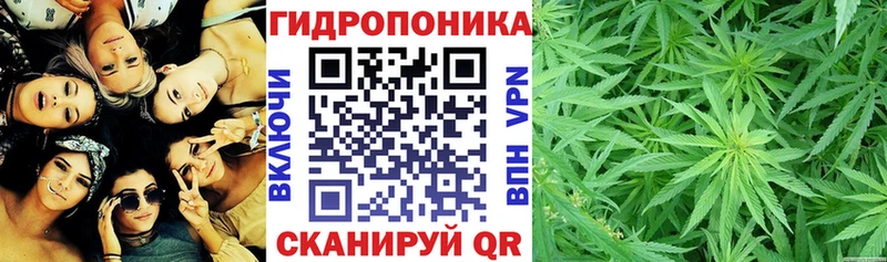 закладка  Моздок  гидра   Каннабис конопля 