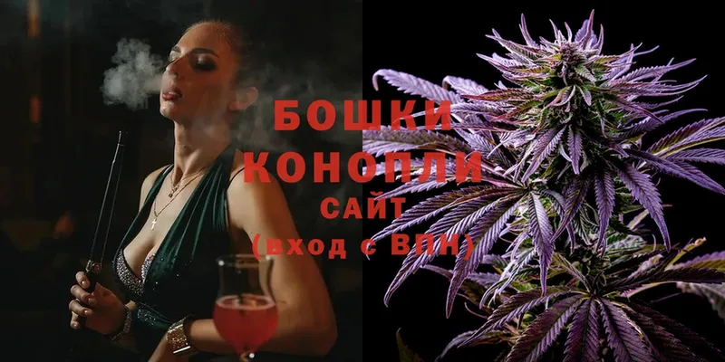 закладка  Моздок  МАРИХУАНА White Widow 