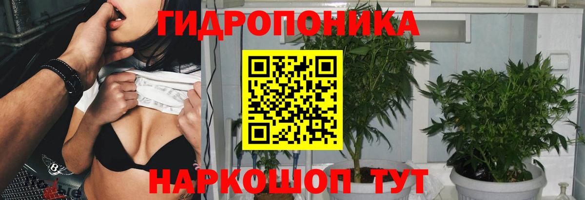 Бошки марихуана план Моздок